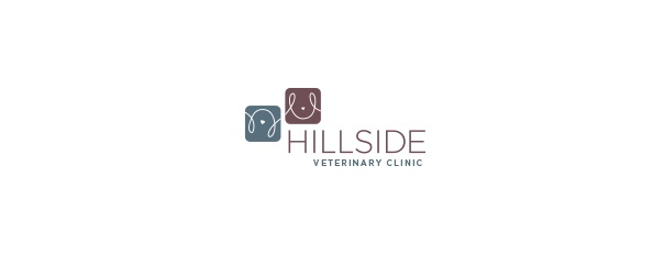 Hillside Veterinary Clinic. Photo: hillsidevetclinic.org