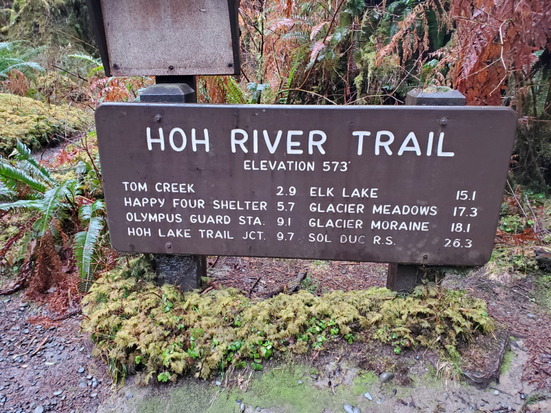Hoh River Trail, Hoh Rain Forest