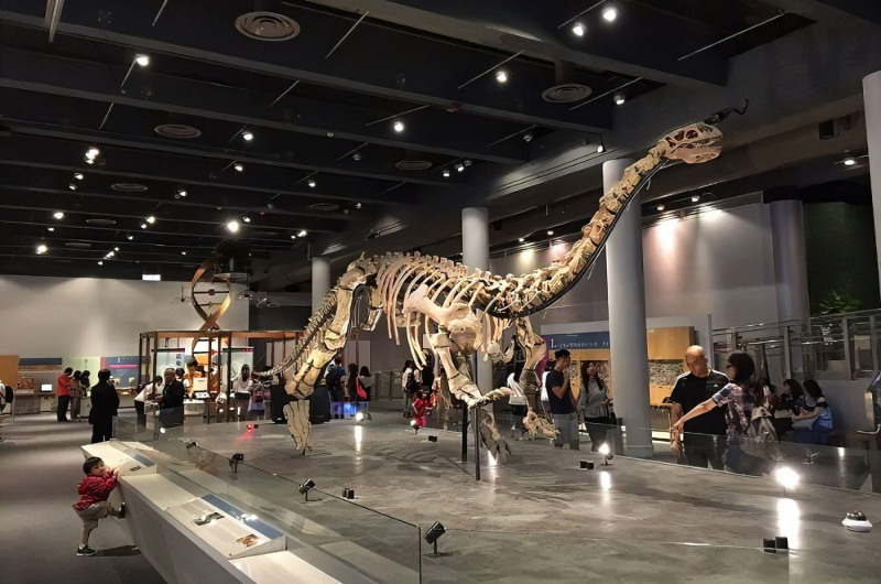 https://thecityview.com.hk/en/about/near-by/hong-kong-science-museum