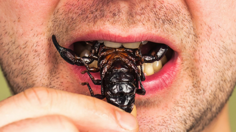 Photo:  City of Hope - Man Eating Delicious Fried Scorpion