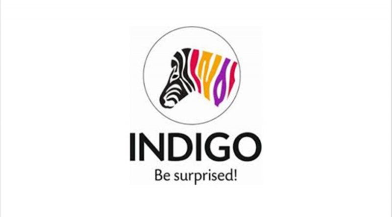 Indigo Paints Logo