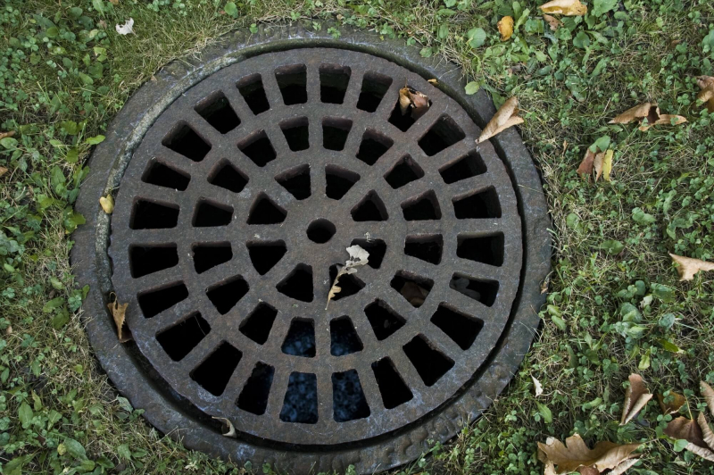 Inspect Your Drains