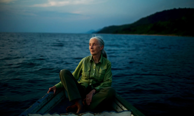 Top 6 Interesting Facts About Jane Goodall