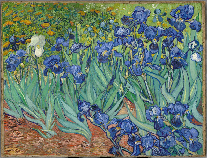 This painting was painted by Vincent van Gogh in 1889. Son of Joan Whitney Payson sold this painting to Alan Bond in 1987 - Wikipedia