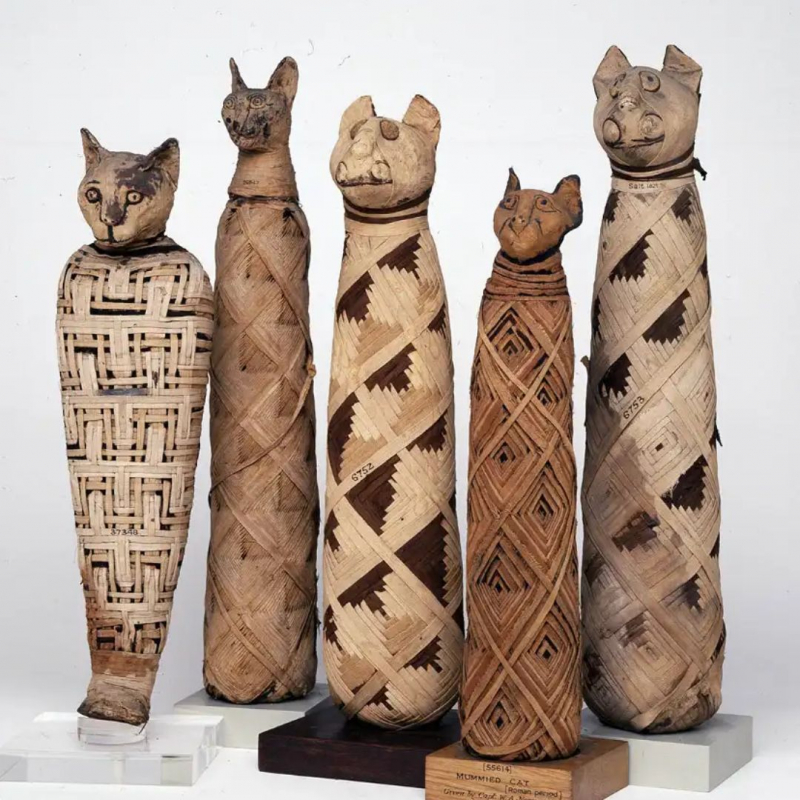 Cat mummies, ca. 30 BCE -  British Museum