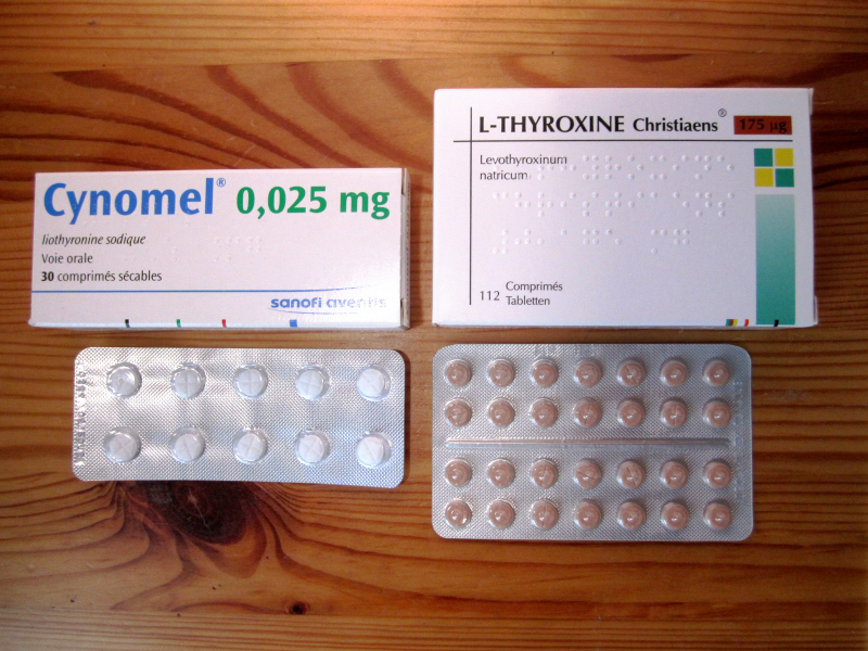 Photo on  Wikimedia Commons (https://upload.wikimedia.org/wikipedia/commons/e/e1/Thyroid_hormone_pills_-_left_T3_-_right_T4.jpg)