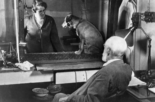Ivan Pavlov was watching an experiment with a dog - Photo: rbth.com