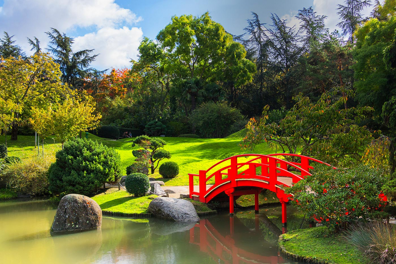 Jardin Japonais. Photo: paysagistes.pro