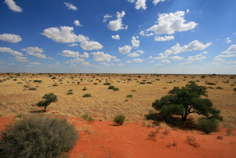 Kalahari Desert. Photo: Danhsachvang.net