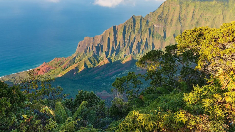 Spectacular landscape of the Kalalu Valley in Hawaii. - Shutterstock