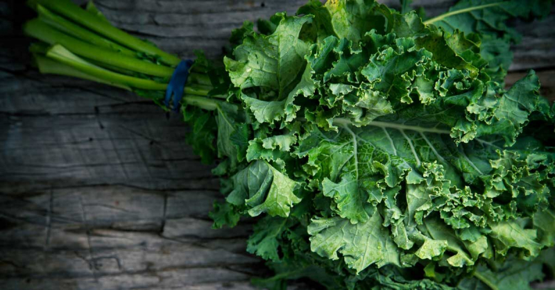 Kale is one of the best sources of vitamin K in the world