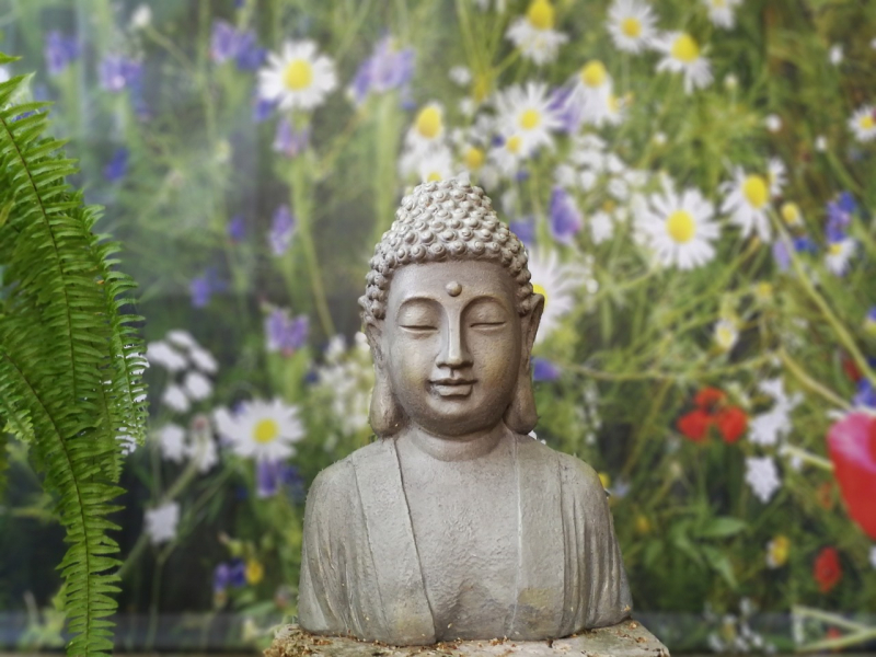 Photo on Pixabay (https://pixabay.com/photos/garden-statue-fern-buddha-statue-3398101/)
