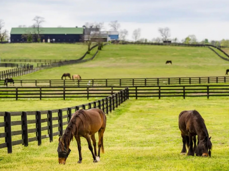 Kentucky Horse Park Campground — Kentucky