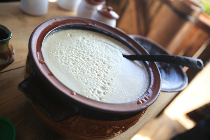 https://www.gourmetsleuth.com/recipes/detail/bulgarian-yoghurt-kiselo-mljako