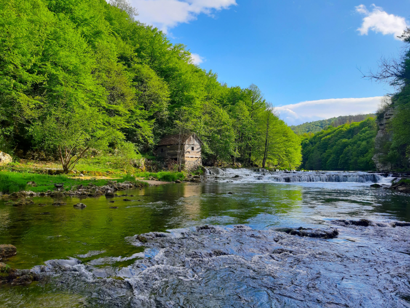 Korana River (photo: https://www.outdooractive.com/)