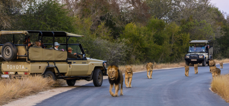 Kruger National Park (photo:https://www.discoverafrica.com/)