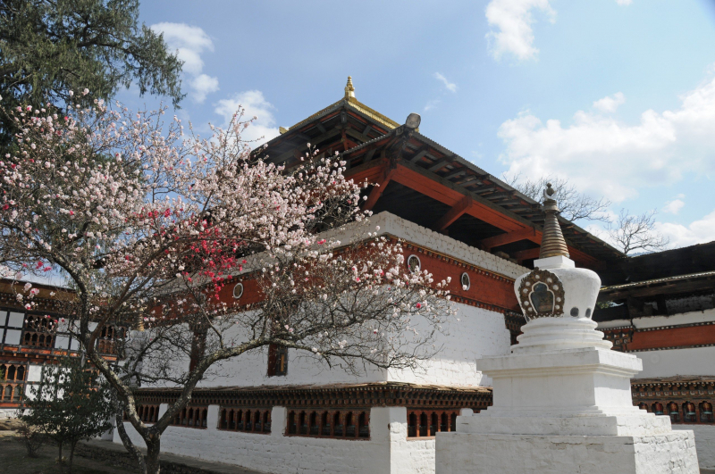 Screenshot of https://commons.wikimedia.org/wiki/File:Kyichu_Lhakhang_temple_Paro_Bhutan_-_panoramio.jpg