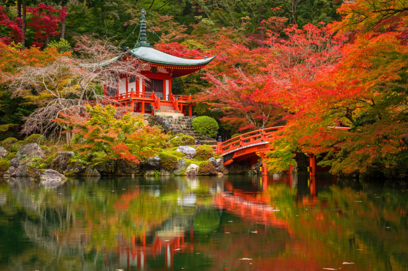 The poetic scenery at Kyoto Garden