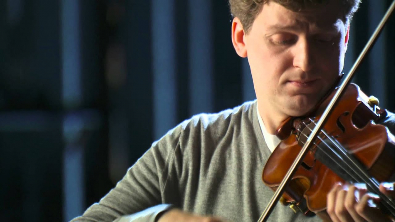 Photo:  Stradivarius Violin Profiles