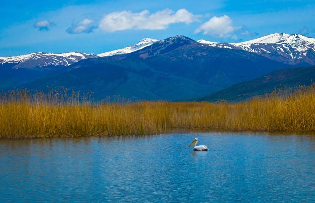 Photo:  Matt Barrett's Greece Travel Guides - Macedonia: Prespa Lakes