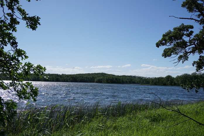 Photo: Lake Upsilon Property for sale