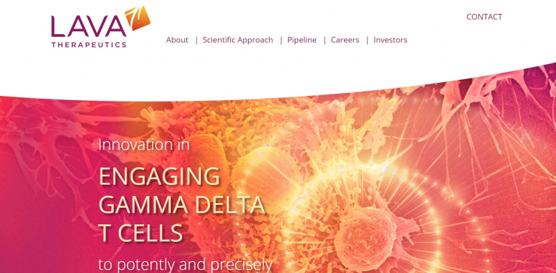 Screenshot of Lava Therapeutics website