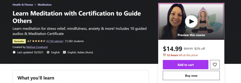 Learn Meditation with Certification to Guide Others (Udemy)