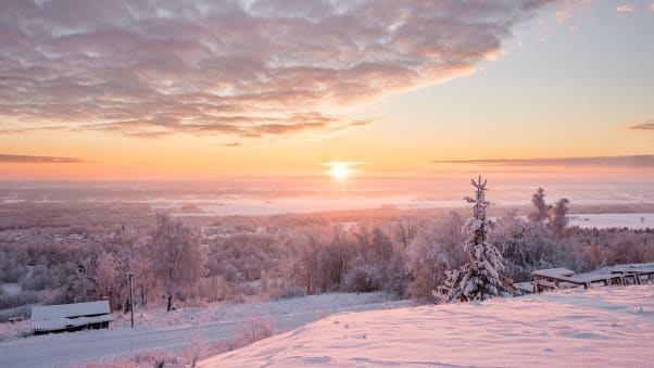 Sweden's loveliest line takes you over the Kinnekulle plateau - Andreas Hoff/Adobe Stock