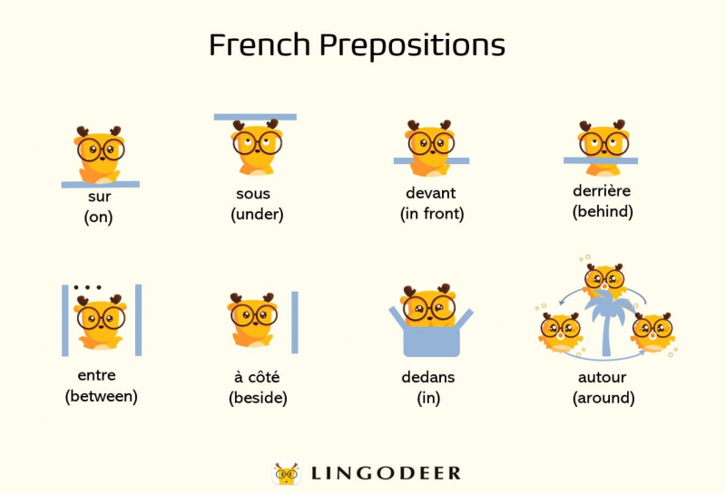 LingoDeer is an application that helps you learn French effectively- Source: LinogDeer Blog