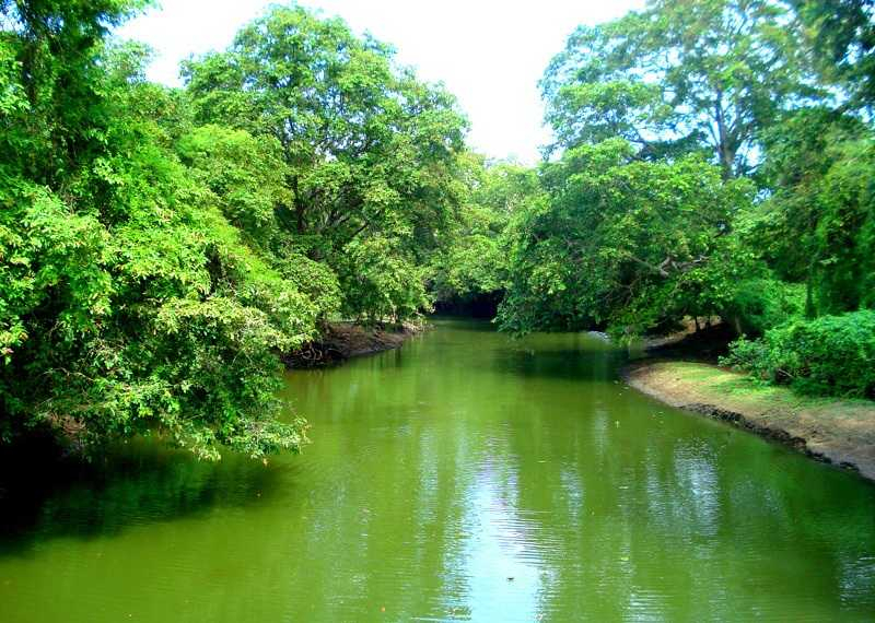 Top 6 Longest Rivers In Sri Lanka - toplist.info