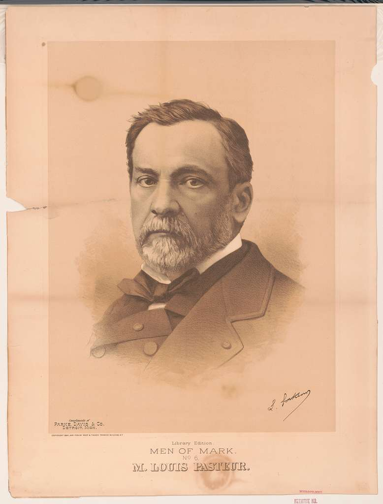 Photo on  Picryl (https://picryl.com/media/men-of-mark-library-edition-no-6-m-louis-pasteur-2f102a)