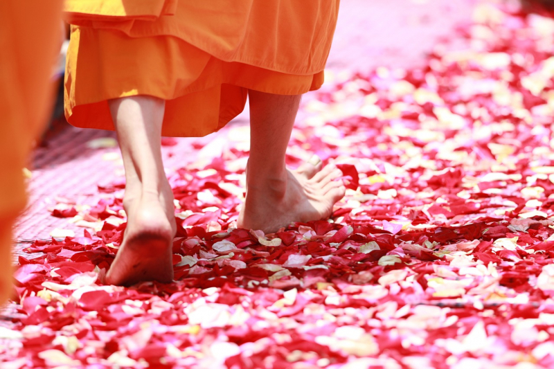 Photo on Pixabay (https://pixabay.com/photos/monk-walking-rose-petals-buddhism-458491/)