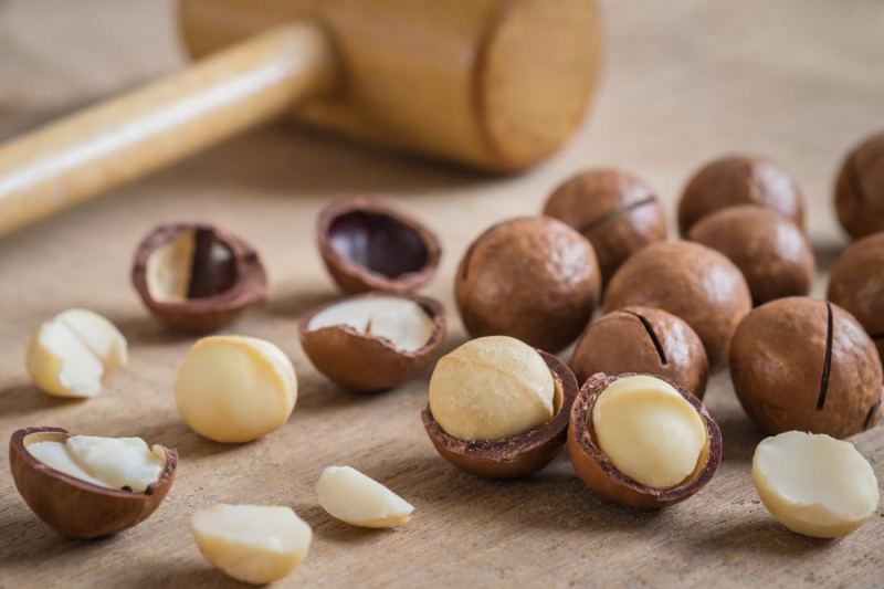 Macadamia Nuts. Photo: bliss-natural.com