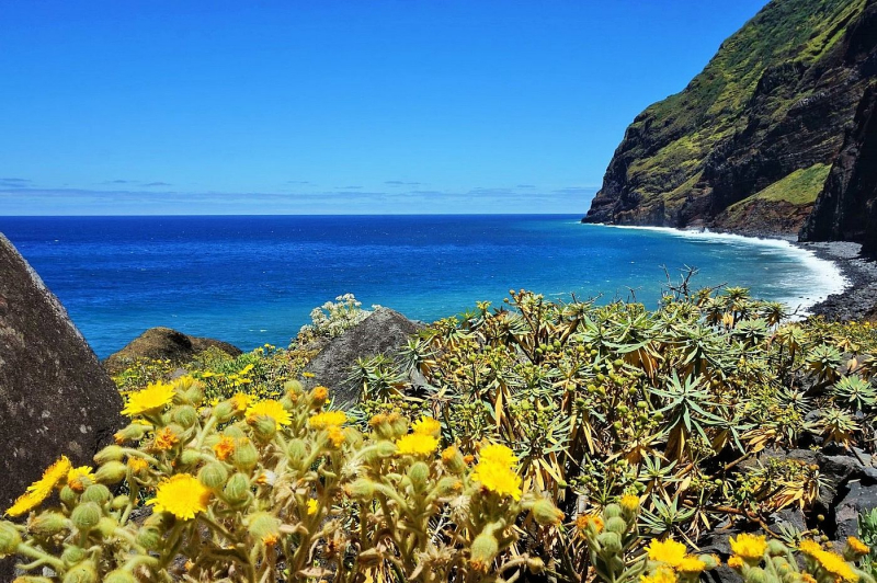 Madeira, Portugal. Photo: apenoni.com