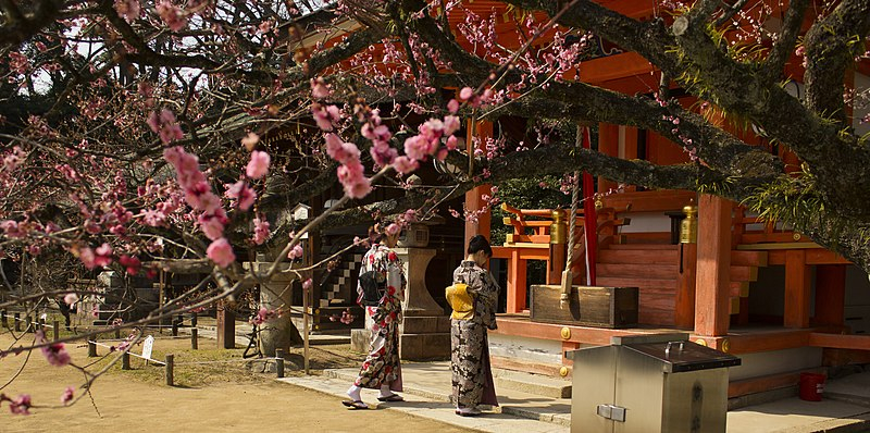 Photo:  Wikipedia - Shinto shrine