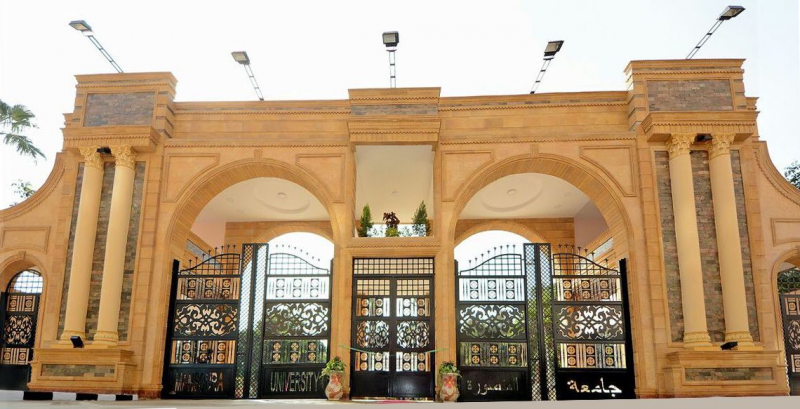 Mansoura University (photo: https://www.mans.edu.eg/)