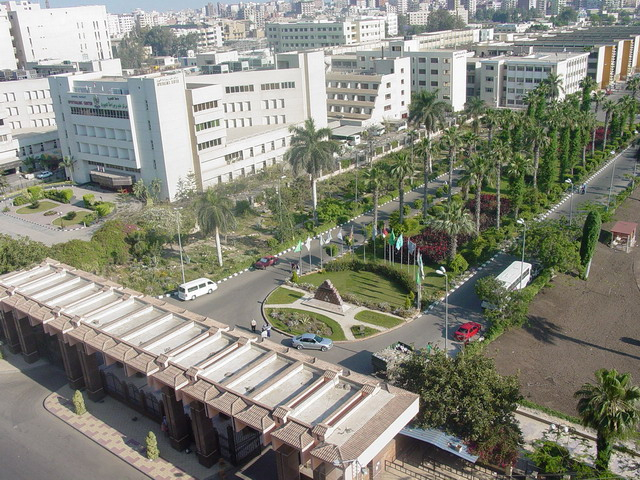 Mansoura University (photo: https://en.wikipedia.org/)