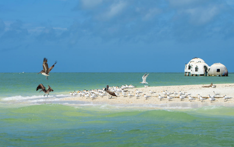 Marco Island, Florida. Photo: visitflorida.com