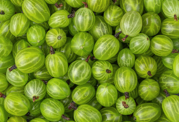 May help control blood sugar