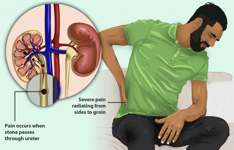 Photo by  Wikimedia Commons (https://commons.wikimedia.org/wiki/File:Digestive_system_with_liver.png)