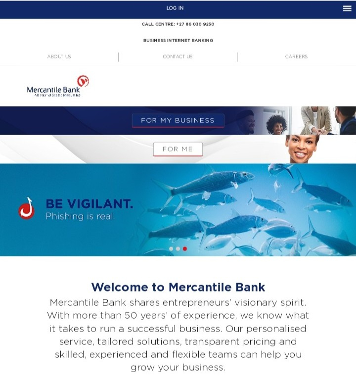 Screenshot of https://www.mercantile.co.za