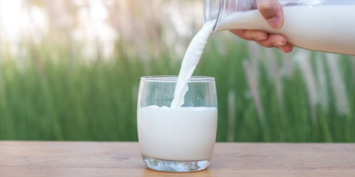 Milk or plant-based alternatives