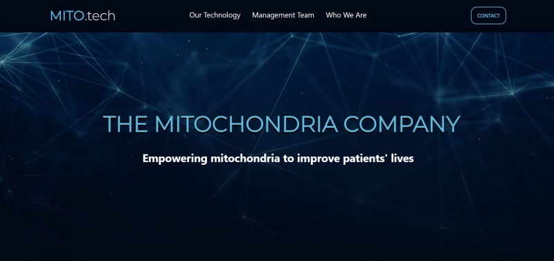 Screenshot of https://www.mitotechpharma.com/
