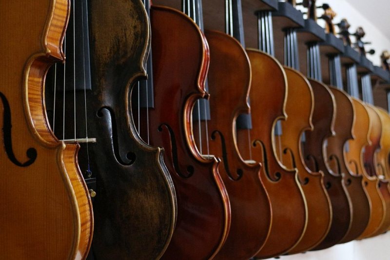 Top 12 Most Expensive Violins toplist.info