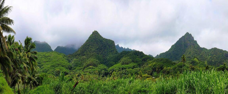 Mount Maungapu