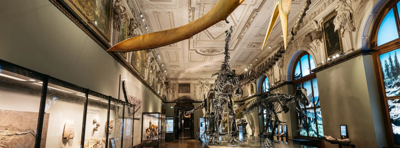 Museum of Natural History (Naturhistorisches Museum)