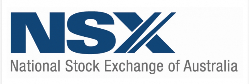 NSX Logo