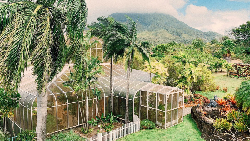 Nevis Botanical Gardens. Photo: travelagewest.com