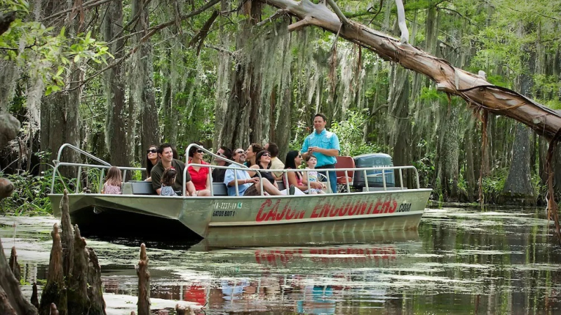 New Orleans: Cajun Encounters – VIP Swamp Tour