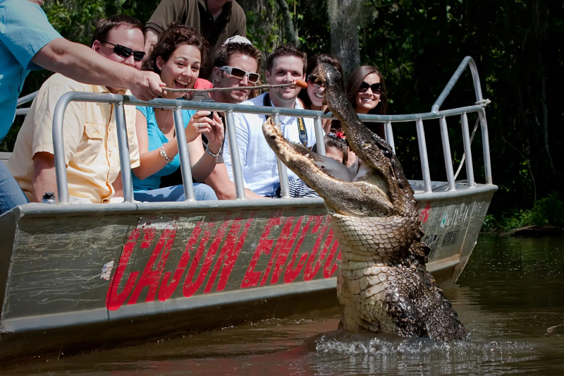 New Orleans: Cajun Encounters – VIP Swamp Tour